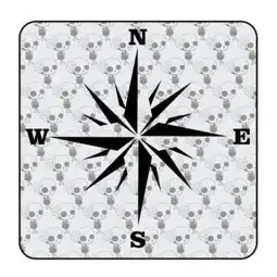 ROSA DE LOS VIENTOS 2