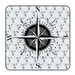 COMPASS ROSE vv1086 2
