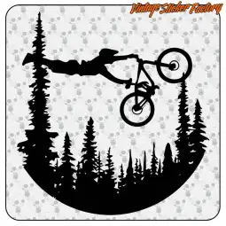 MTB FLY 2
