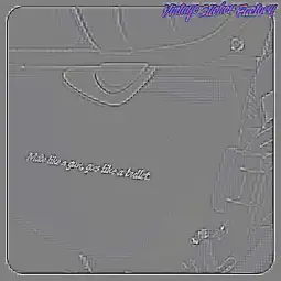 MADE LIKE A GUN, GOES LIKE A BULLET