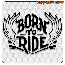 BORN TO RIDE 2