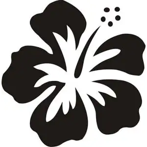 Sticker Flor Hawaiana Hibiscus