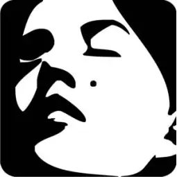 Pegatina de vinilo LUNAR