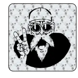 Sticker Follet tortuga 2