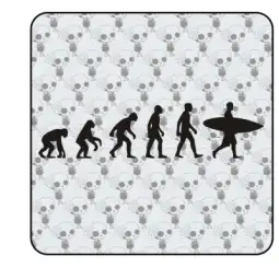 Sticker evolucion surf 2