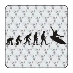 Sticker evolucion surf 2