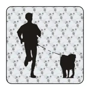 Autocollant canicross