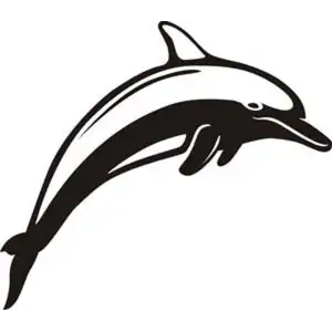 Sticker delfin